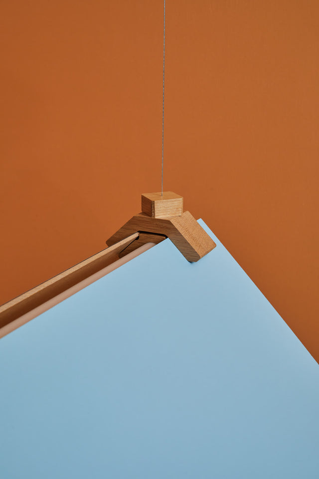 CATCH 70X30 | Pendant Light