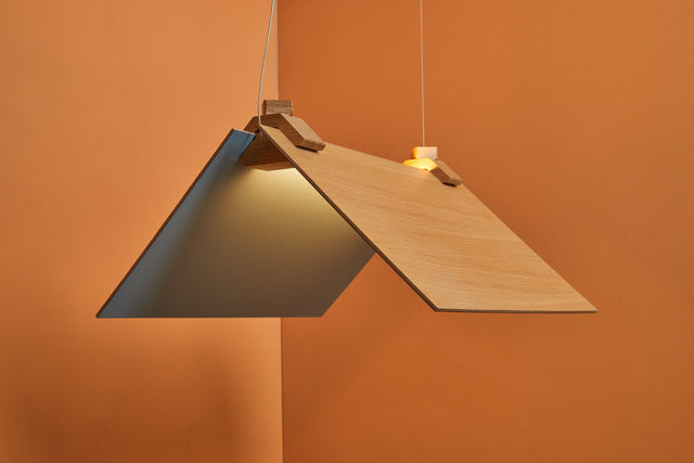 CATCH 70X30 | Pendant Light