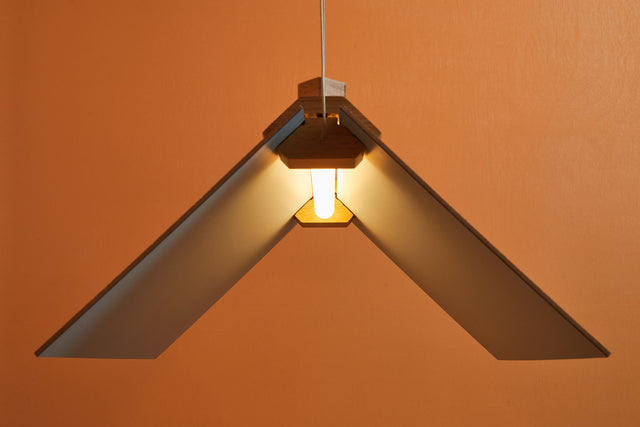 CATCH 70X30 | Pendant Light