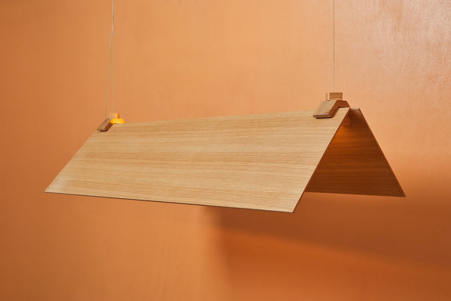 CATCH 100X30 | Pendant Light