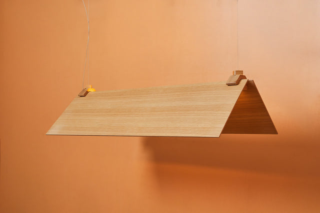 CATCH 100X30 | Pendant Light