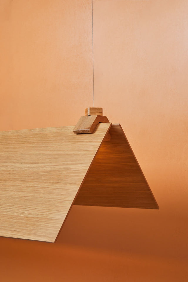 CATCH 100X30 | Pendant Light
