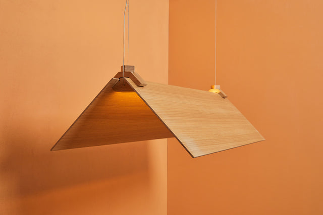 CATCH 100X30 | Pendant Light
