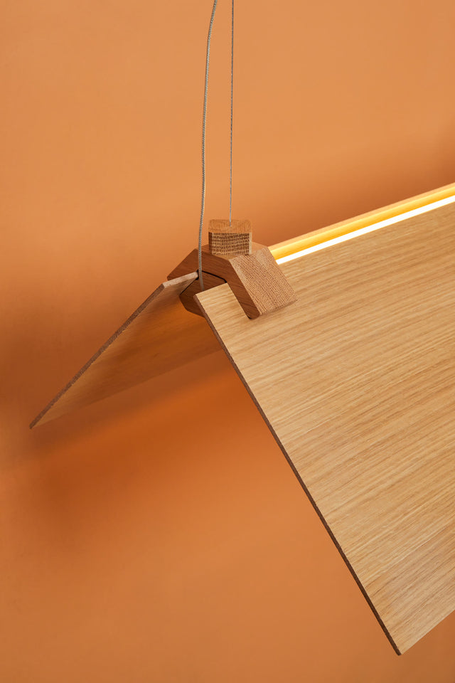 CATCH 100X30 | Pendant Light