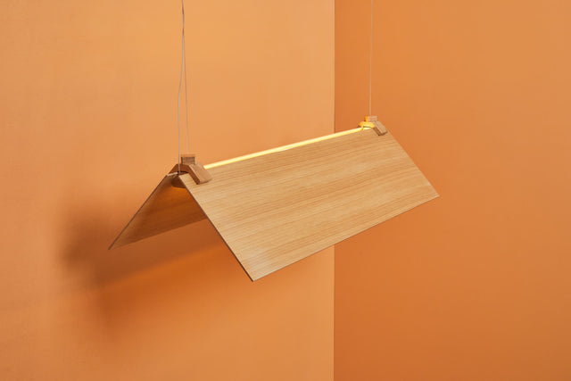CATCH 100X30 | Pendant Light