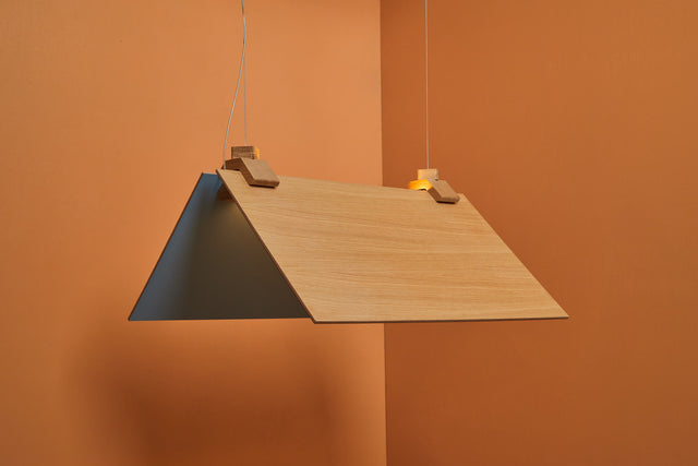 CATCH 70X30 | Pendant Light