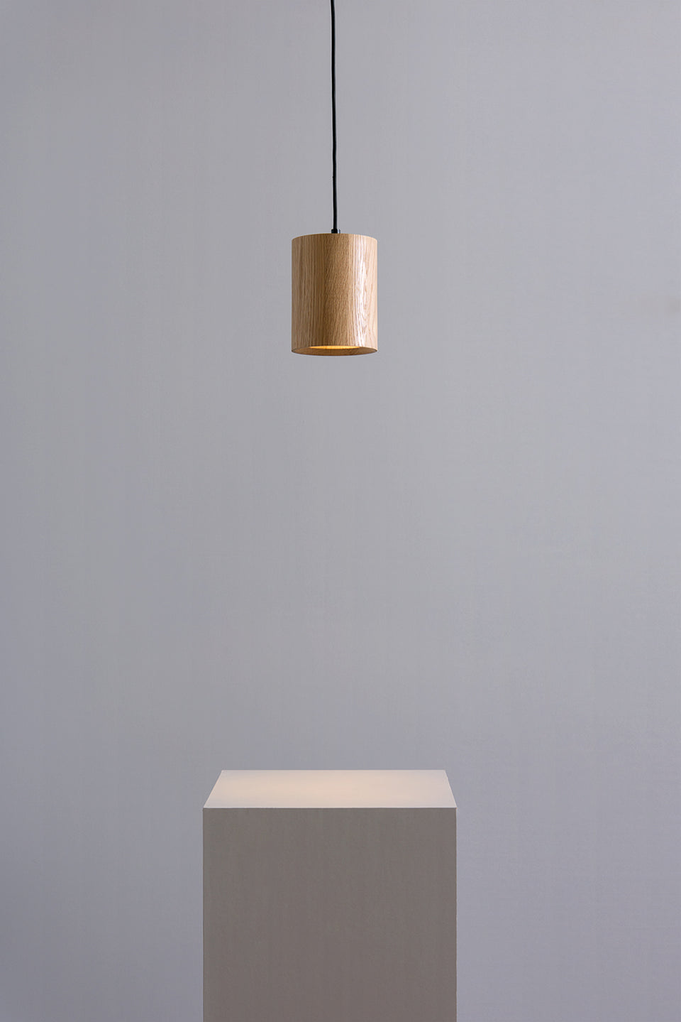 HANGING SPOT | Pendant Light