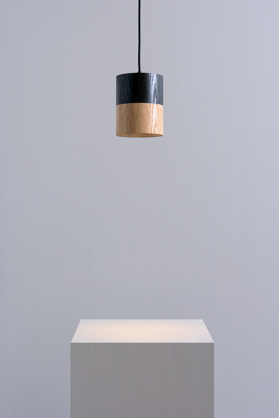 HANGING SPOT HALF BLACK | Pendant Light